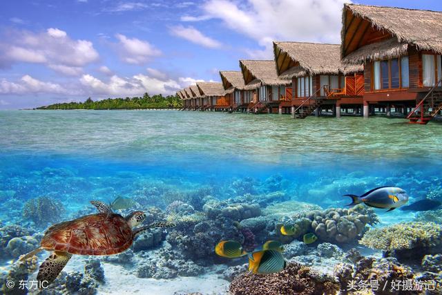 马尔代夫哪个岛屿值得一去？马尔代夫群岛让你玩转不停歇(4)