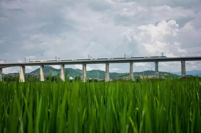 台风十一号安比路线（台风安比来袭）(2)