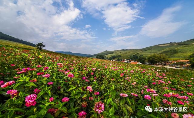 本溪大峡谷玻璃桥要门票吗（本溪大峡谷景区）(16)