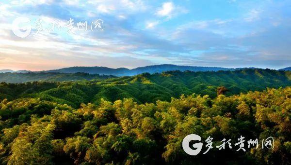 贵州必去17个景点推荐（在贵州一路向北）(37)