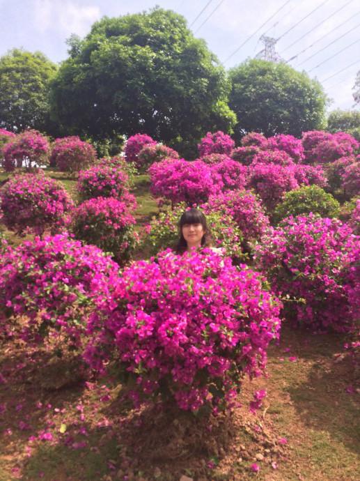 苹果摄像头越来越丑（比苹果前置摄像头中还要丑的生物）(12)