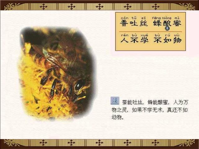 三字经全文注音版正版打印版（三字经完整版精美绘图）(85)