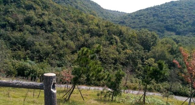 春光正好徒步古道感受一览众山小（徒步褒禅山伍子胥古道）(17)