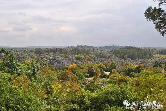 威宁八大景点及介绍（贵州威宁5大绝美景点）(9)