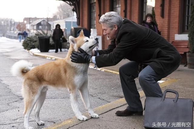 忠犬八公电影狗哭了（宠物电影里能让我流泪的电影忠犬八公的故事）(5)