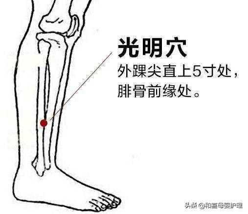 小儿推拿近视眼穴位（小儿推拿四明穴）(5)