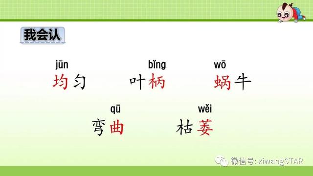 四年级语文上册爬山虎的脚知识点（部编版四年级语文上册第三单元10.爬山虎的脚知识点及练习）(5)