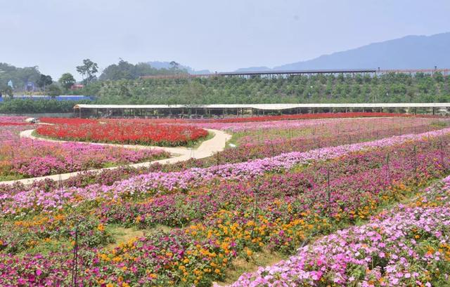 潮汕揭阳旅游景点大全（潮汕地区最没存在感的城市）(26)