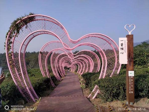 溧阳1号公路哪一段最美呢（溧阳1号公路绝美风景大道）(24)