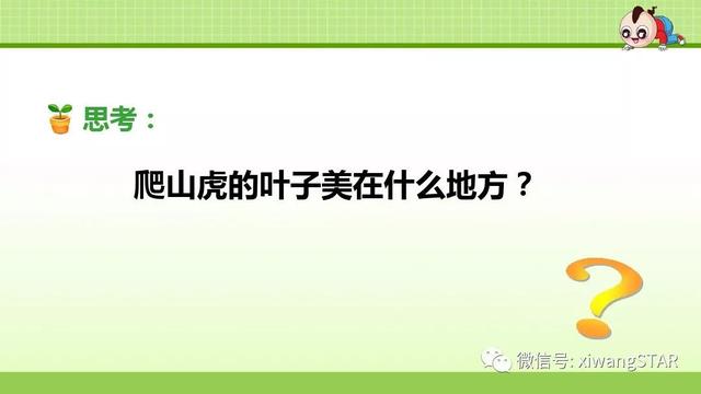 四年级语文上册爬山虎的脚知识点（部编版四年级语文上册第三单元10.爬山虎的脚知识点及练习）(34)