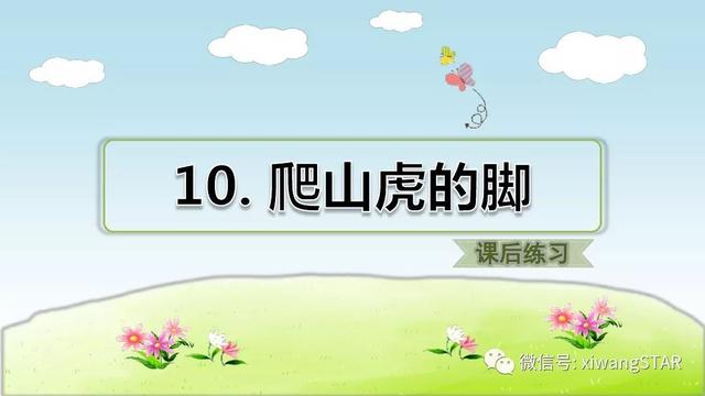 四年级语文上册爬山虎的脚知识点（部编版四年级语文上册第三单元10.爬山虎的脚知识点及练习）(60)