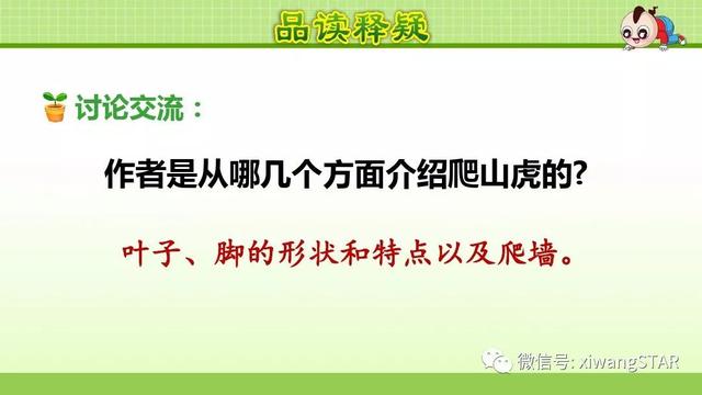 四年级语文上册爬山虎的脚知识点（部编版四年级语文上册第三单元10.爬山虎的脚知识点及练习）(31)