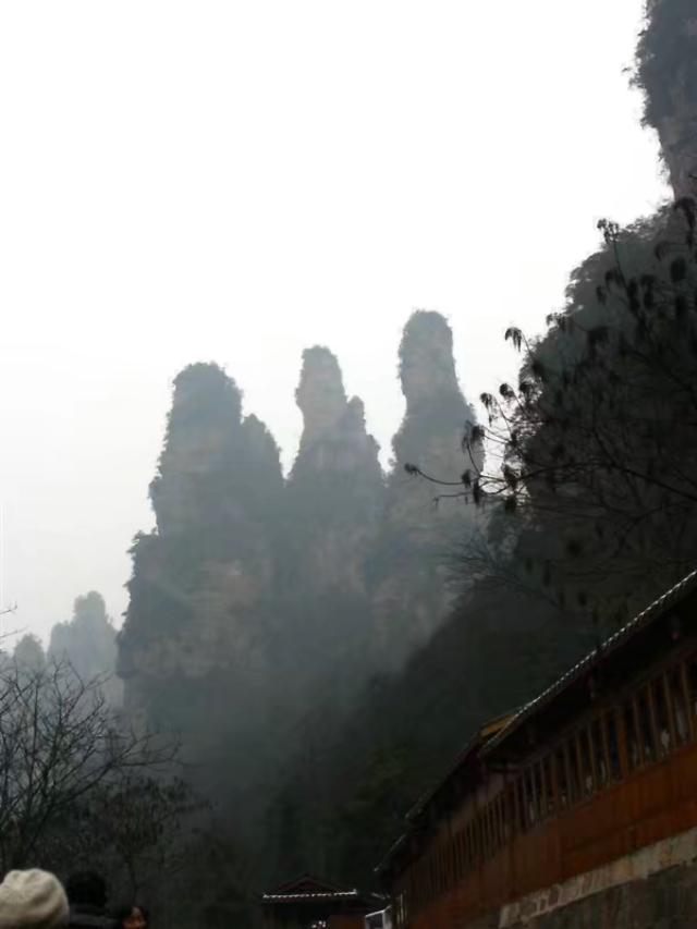 张家界风景区旅游线路（张家界风景）(4)