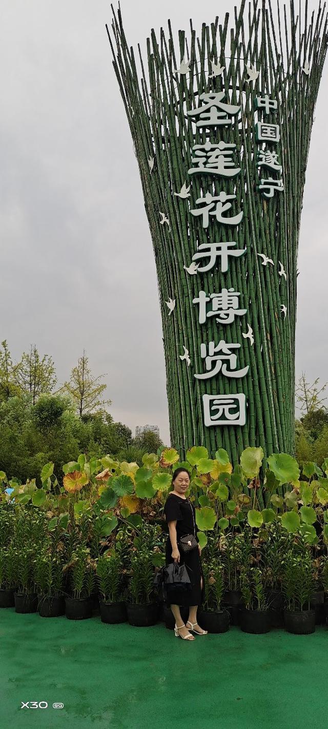 遂宁圣莲岛 航拍（圣莲岛遂宁城市名片）(3)