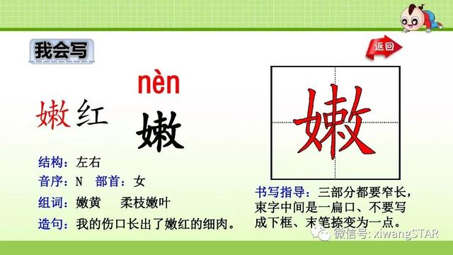 四年级语文上册爬山虎的脚知识点（部编版四年级语文上册第三单元10.爬山虎的脚知识点及练习）(16)