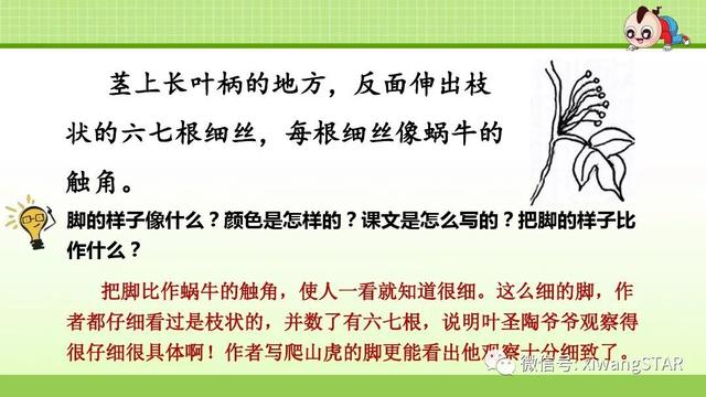 四年级语文上册爬山虎的脚知识点（部编版四年级语文上册第三单元10.爬山虎的脚知识点及练习）(42)