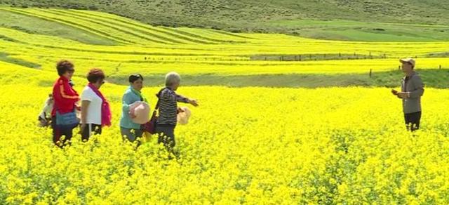 扁都口4a级风景旅游区（扁都口景区迎来旅游季）(5)