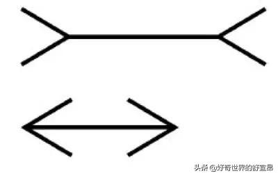 12种视错觉（视错觉眼见不为实）(4)