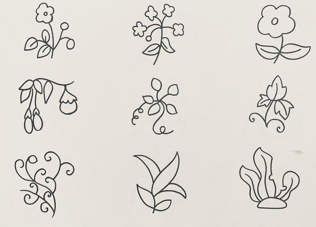 漂亮植物简笔画怎么画（花果植物简笔画）(5)