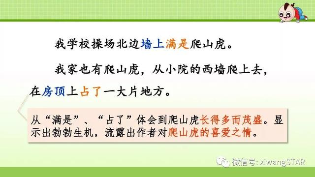 四年级语文上册爬山虎的脚知识点（部编版四年级语文上册第三单元10.爬山虎的脚知识点及练习）(33)