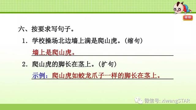 四年级语文上册爬山虎的脚知识点（部编版四年级语文上册第三单元10.爬山虎的脚知识点及练习）(66)