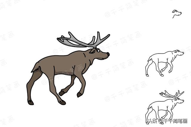 儿童画画8-10岁 简笔画 小动物（豹子小鹿小驴等可爱动物简笔画）(6)