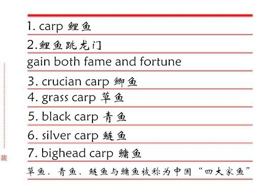 鱼类的名字英文（常见鱼类的中英文名字）(1)