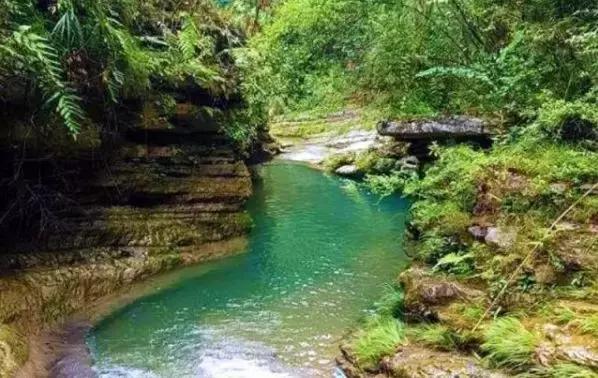 自然水域最佳钓鱼点（在这些地方钓鱼）(10)