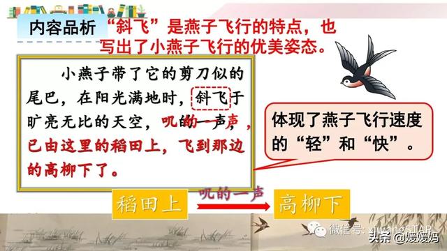 部编版三年级下册语文燕子课件（部编版三年级下册语文2.燕子学习课件）(37)