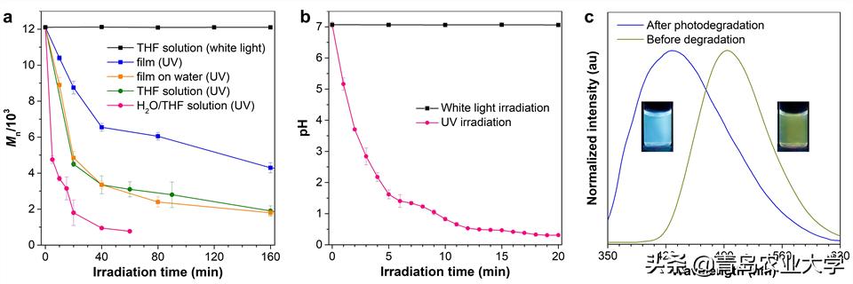 青岛农业大学李峰教授，青岛农业大学韩磊教授联合团队在JACS(2)