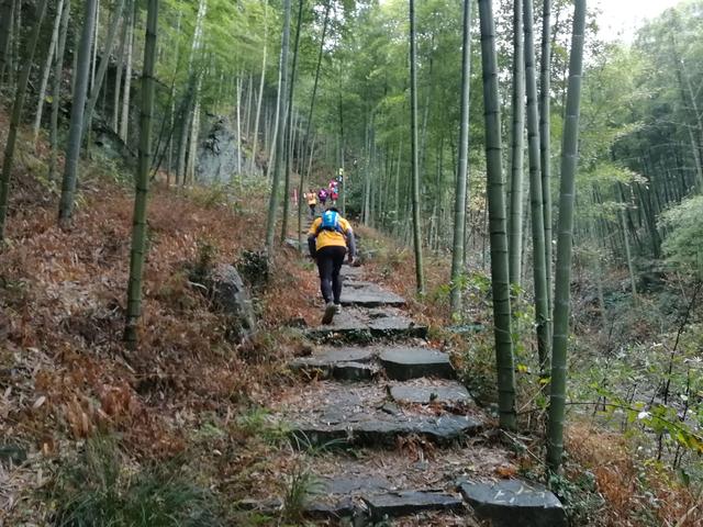 跑圈大神是怎么炼成的（三年参赛距离1000公里--跑圈老咸鱼和你聊赛事）(58)