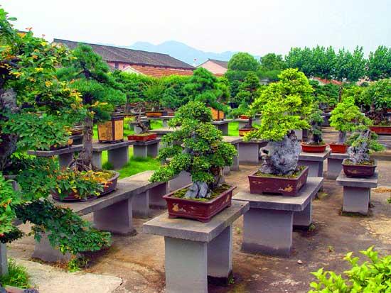 滕头村生态旅游景区是几级景区（走进生态旅游区滕头村）(13)