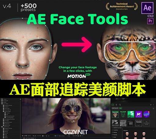 ae脸部化妆特效插件（AE人面部跟踪合成换脸美颜美容滤镜特效插件预设AE）(1)