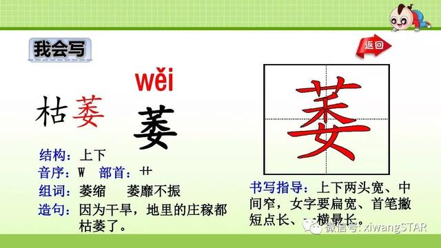 四年级语文上册爬山虎的脚知识点（部编版四年级语文上册第三单元10.爬山虎的脚知识点及练习）(23)