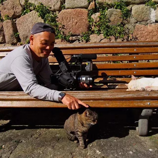 猫咪必看的十部纪录片（关于猫咪的纪录片）(2)