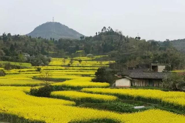 仪陇县永乐镇适合做县城吗（仪陇永乐镇---一个熟悉而美丽的地方）(1)