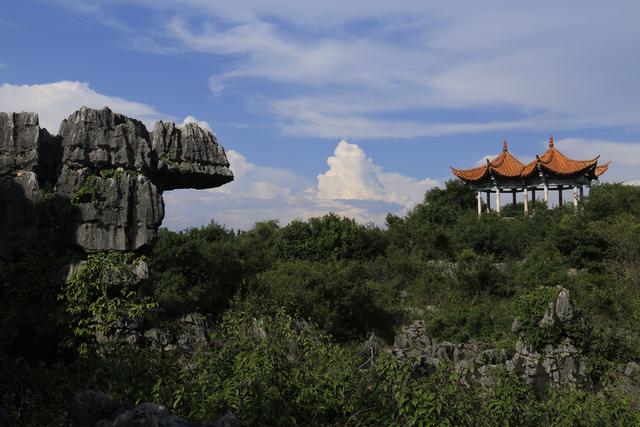 石林阿诗玛旅游小镇的塔（美丽的石林是阿诗玛的故乡）(15)