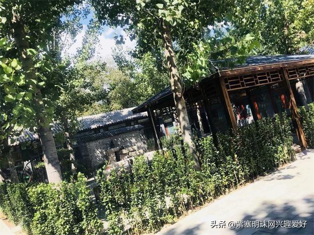 沐春山野民宿（北京沐春苑农家十二月-----一个舍不得离开的城市）(7)