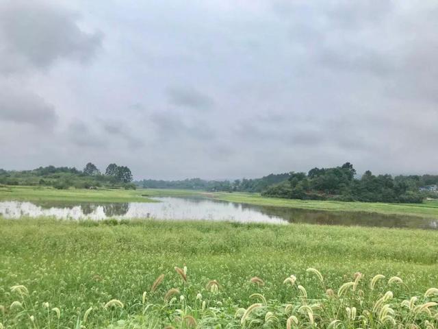 四川眉山龙泉湖（成都眉山荡舟三岔湖）(10)