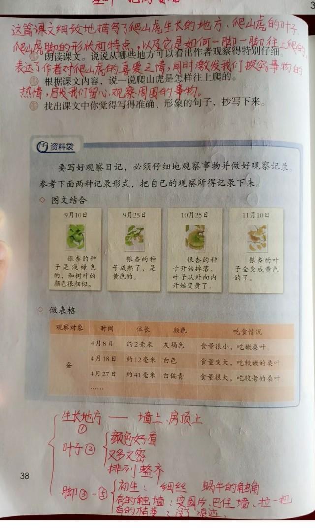 四年级语文第十课爬山虎的脚预习（四年级语文上册第十课爬山虎的脚课文笔记）(4)