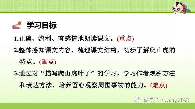 四年级语文上册爬山虎的脚知识点（部编版四年级语文上册第三单元10.爬山虎的脚知识点及练习）(30)