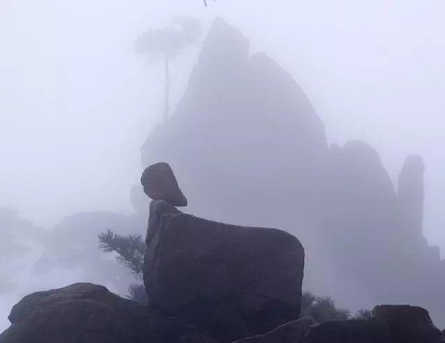 大美黄山点击量最高的风景（大美黄山40幅美醉了）(15)