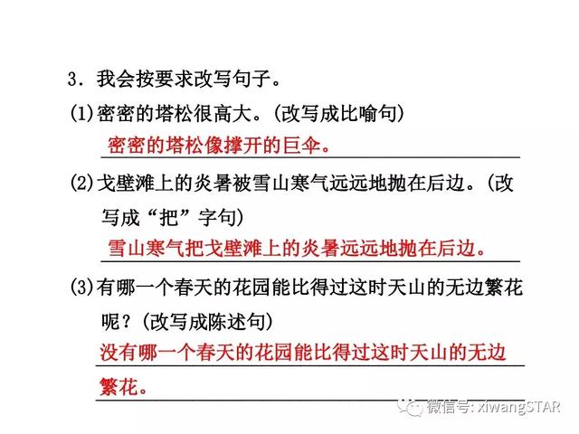 四年级下册语文七月的天山练习册（人教版四年级语文下册第一单元4.）(37)