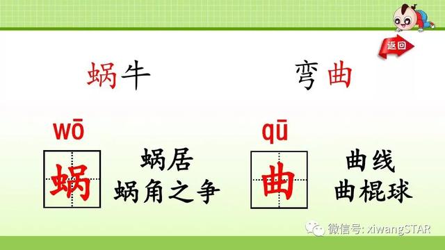 四年级语文上册爬山虎的脚知识点（部编版四年级语文上册第三单元10.爬山虎的脚知识点及练习）(7)