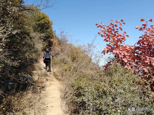 洛阳木札岭景区攻略一日游路线（洛阳自驾偃师柏峪）(11)