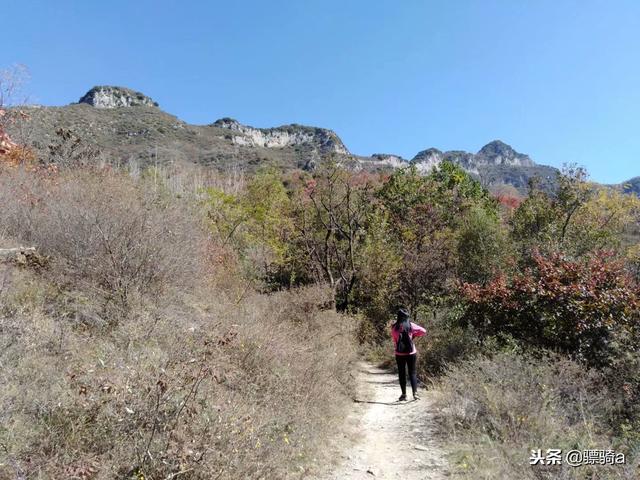 洛阳木札岭景区攻略一日游路线（洛阳自驾偃师柏峪）(4)