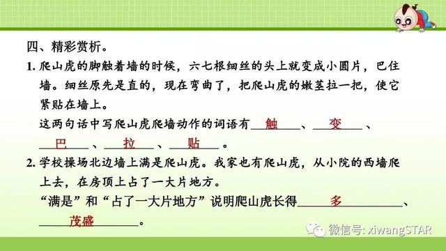 四年级语文上册爬山虎的脚知识点（部编版四年级语文上册第三单元10.爬山虎的脚知识点及练习）(59)