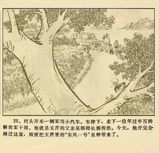 文革本故事连环画（文革本故事连环画）(29)