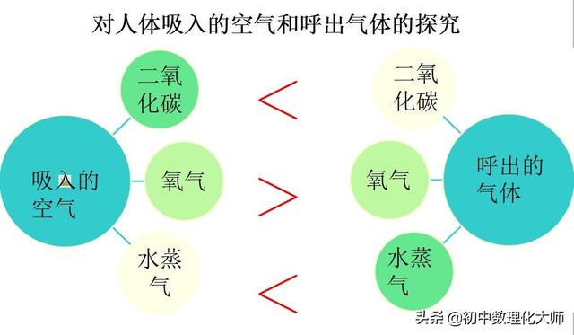 初中化学呼出气体（初中化学-对人体吸入的空气和呼出的气体的探究）(14)