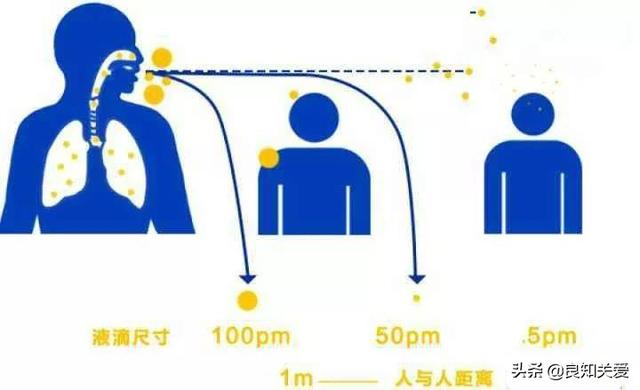 新型冠状病毒会空气传播多远（新型冠状病毒会通过空气传播）(4)